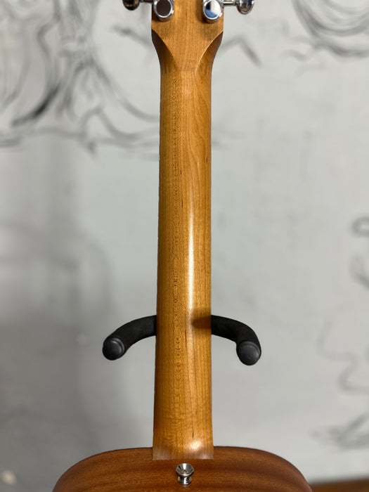 Taylor Baby Mahogany (BT2)