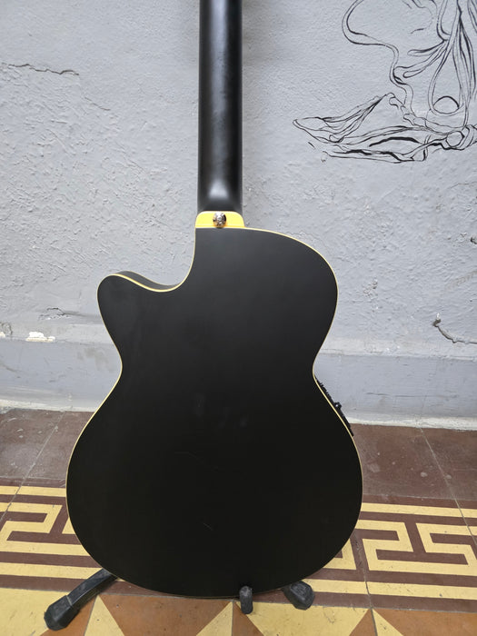 Ibanez AEG6TN-TNG (USADA)