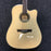 Tagima WS‑20 EQ‑NT (Serie Walnut)