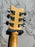 SGR by Schecter S-1 USADA