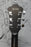 Ibanez artcore AS53