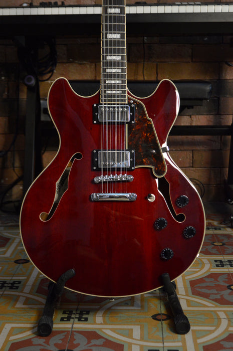 D'Angelico Semi-Hollow 12 String Electric (USADO)