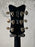 Gretsch G6636-RF Richard Fortus Signature Falcon