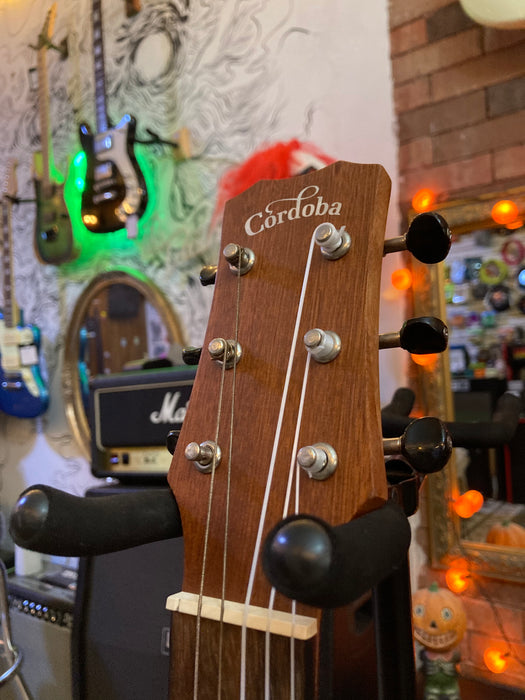 Guitarra acústica Cordoba café USADA