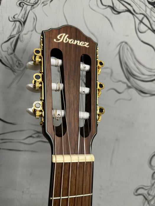Ibanez FRH10N Thinline