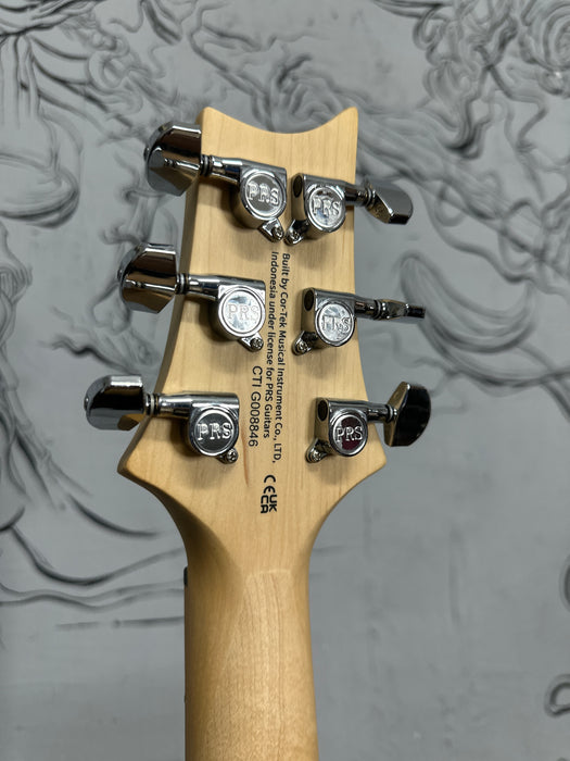 PRS SE Swamp Ash Special Charcoal