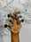 EVH Wolfgang Standard Exotic Bocote Baked Maple Fingerboard, Natural
