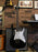 Ibanez JEM-JR Negra — Steve Vai Signature USADA