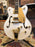 Gretsch G5422TG Electromatic en color Snowcrest White USADA