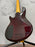 Schecter Raiden Special 5