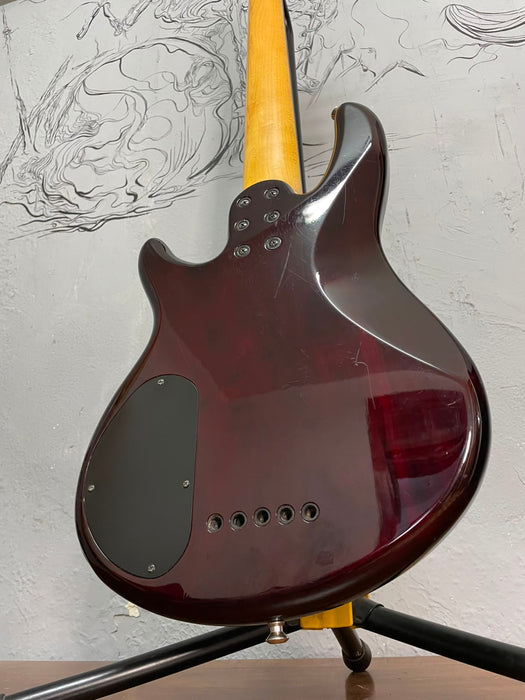Schecter Raiden Special 5