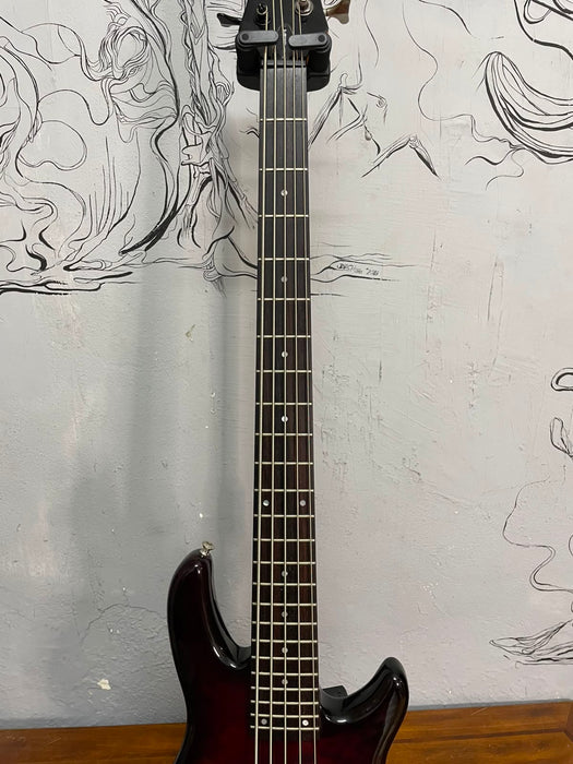 Schecter Raiden Special 5