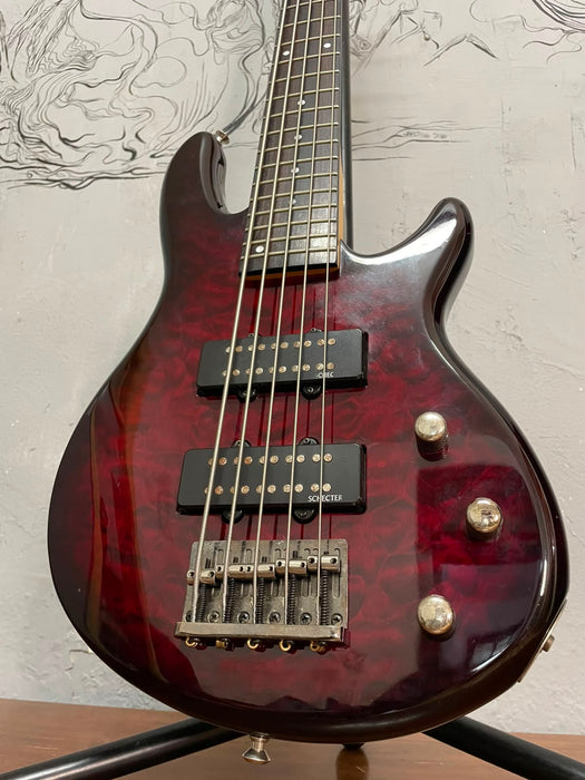 Schecter Raiden Special 5