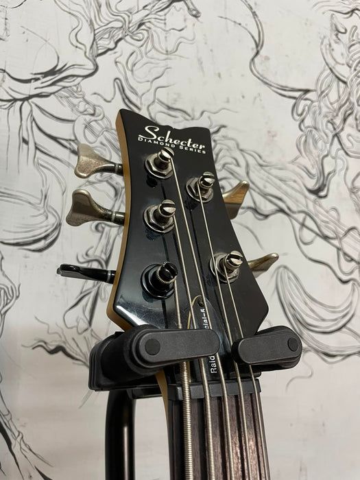 Schecter Raiden Special 5