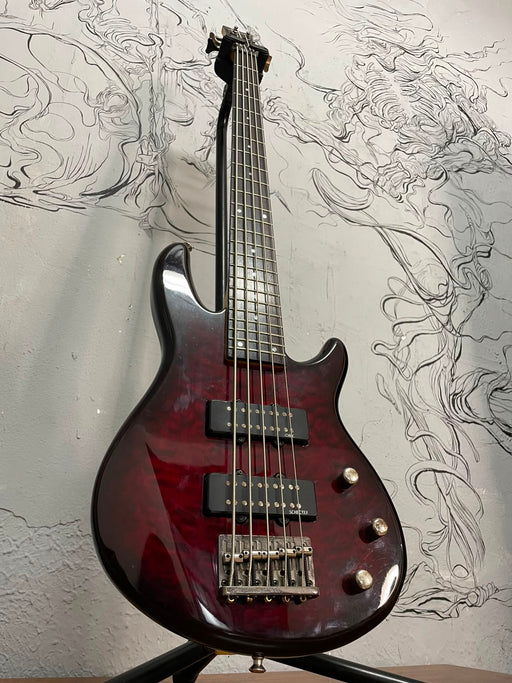 Schecter Raiden Special 5