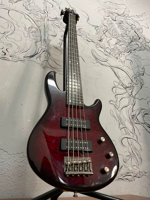 Schecter Raiden Special 5