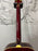 Epiphone DR-100 Wine Red