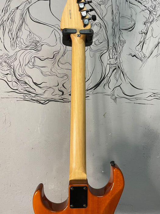 Washburn X24F