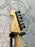 Washburn X24F