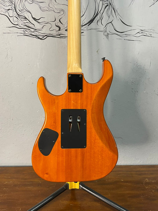 Washburn X24F