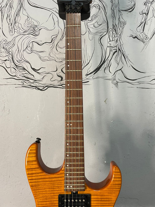Washburn X24F