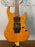 Washburn X24F