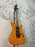 Washburn X24F