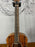 Taylor GS Mini