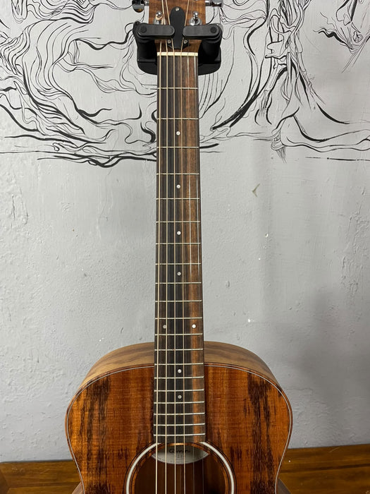 Taylor GS Mini