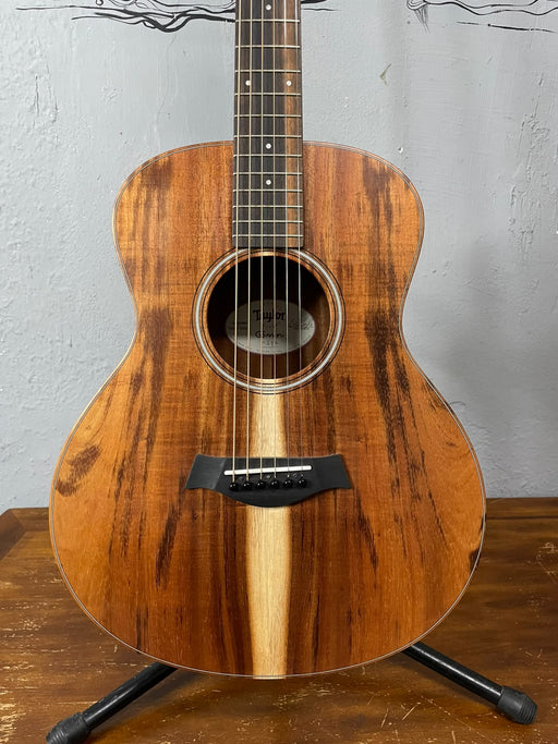 Taylor GS Mini