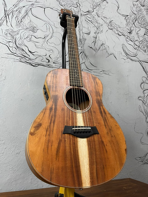 Taylor GS Mini