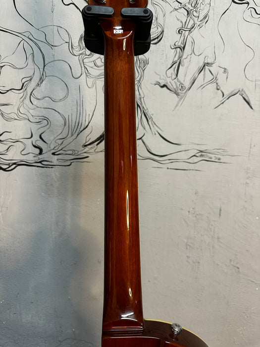 ESP Guitars LTD TL-6