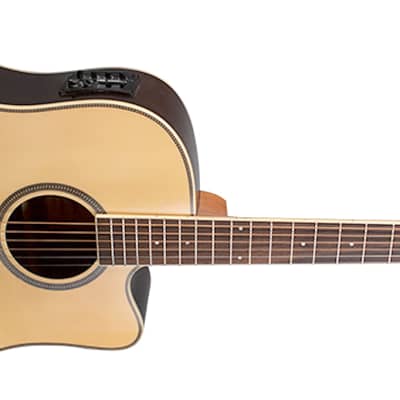 Tagima WS‑20 EQ‑NT (Serie Walnut)