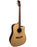 Tagima WS‑20 EQ‑NT (Serie Walnut)
