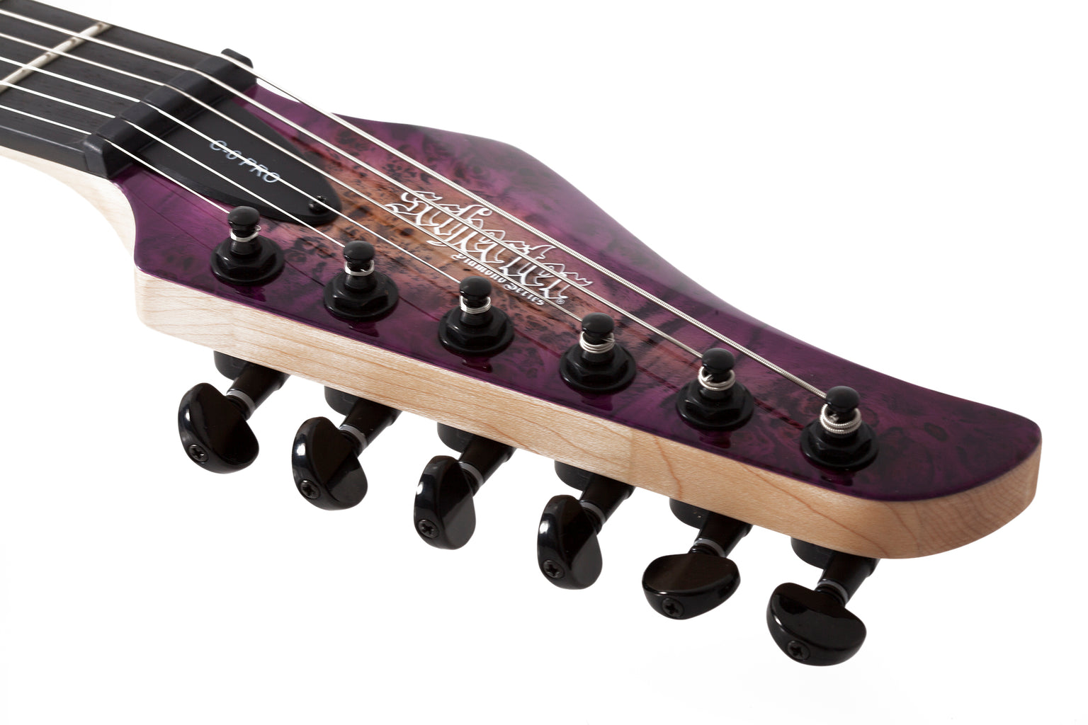 schecter — Pepis Music - The Musician's Cavern